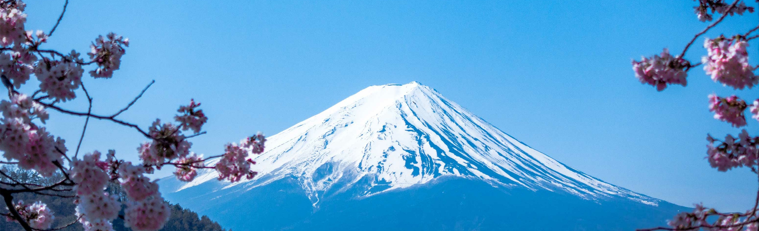 fujisancouv