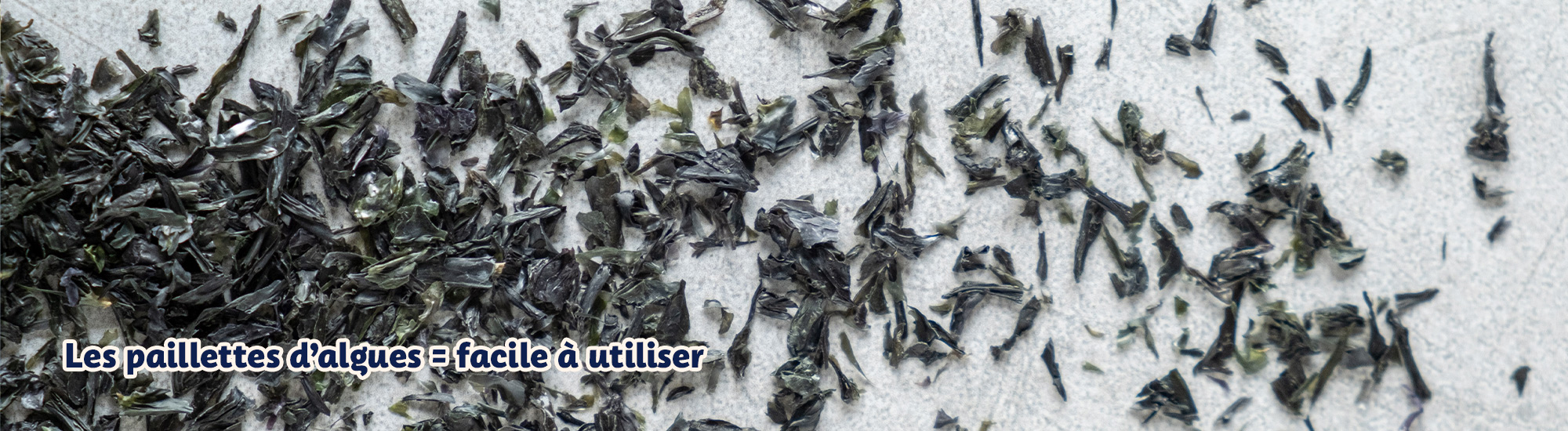 paillettes algues seches