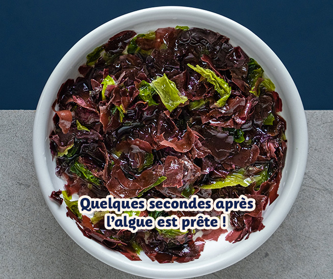 rehydrater une algue