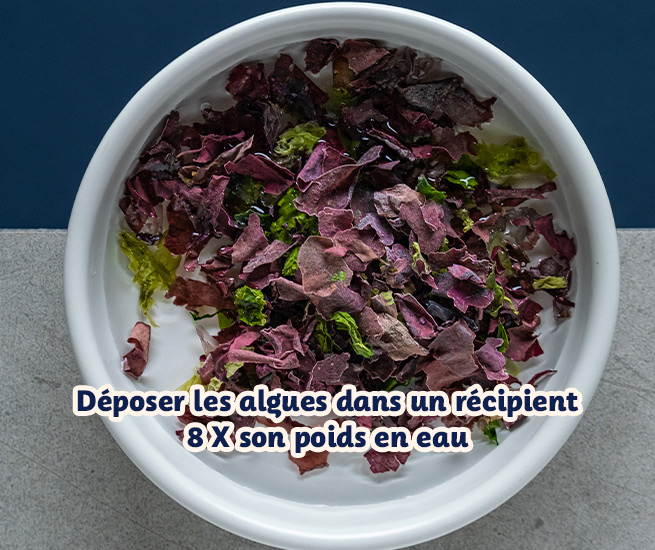 rehydratation algue