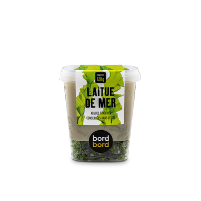 algue-laitue-de-mer-bio