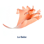 dulse