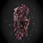dulse-frais-sale-bio