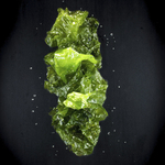 laitue-de-mer-frais-sale-bio