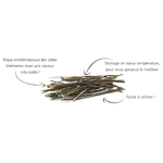 algue-seche-spaghetti-de-mer