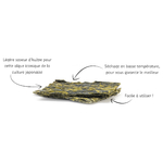 algue-seche-wakame-feuille