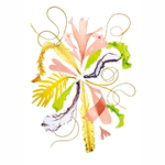 algues-bio-bretonne-comestibles