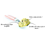 MOUTARDE