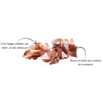 Dulse-algues-fraiche