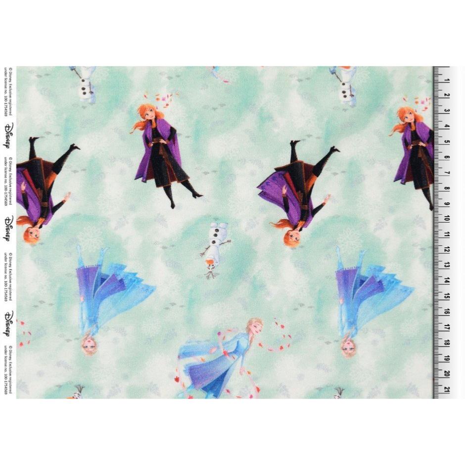 H206-french-terry-vert-d-eau-motif-Reine-des-Neiges-zoom