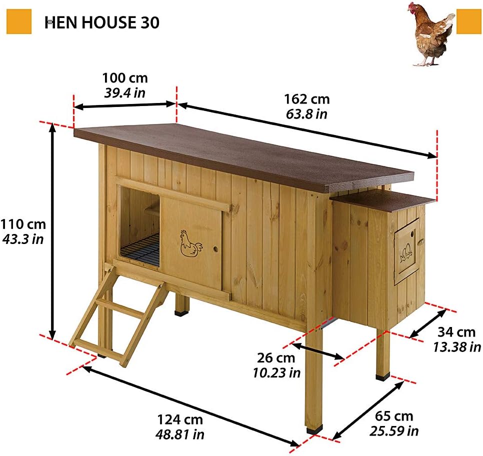Intérieur confortable du poulailler Hen House 30 avec perchoir en bois.
