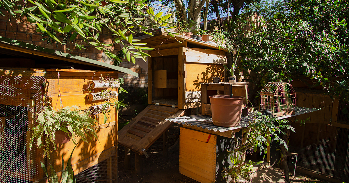 poulailler jardin