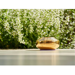 somavedic-gold_6_1920x