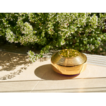 somavedic-gold_1_1920x