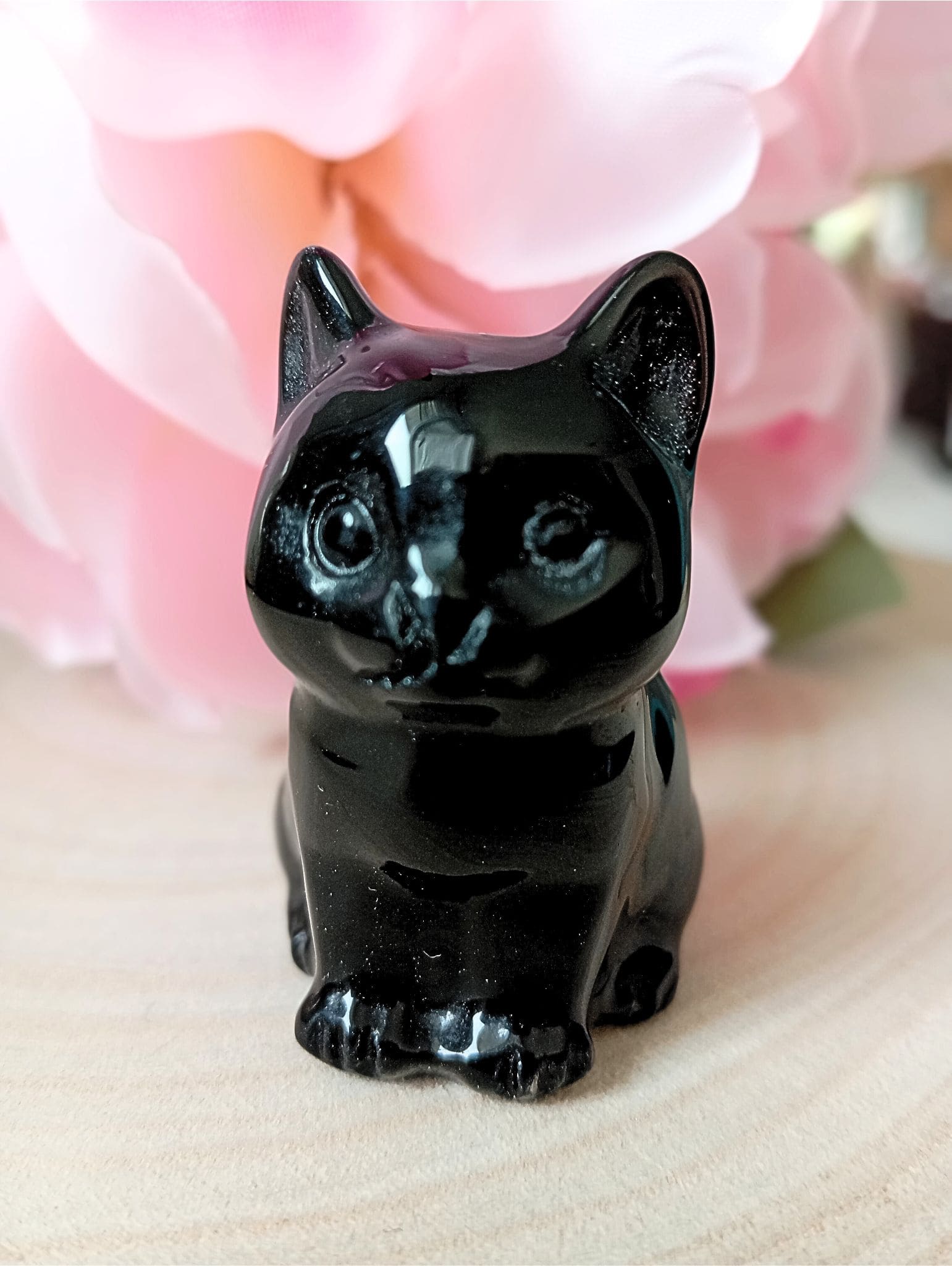 chat tout en obsidienne2