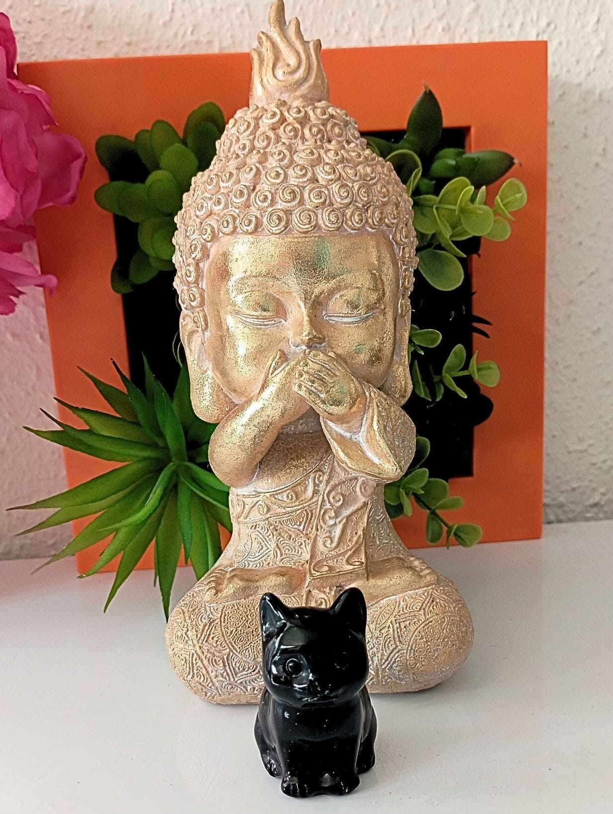 chat obsidienne et décor11