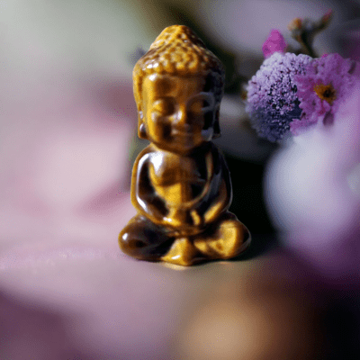 photo bouddha pierre oeil de tigre1