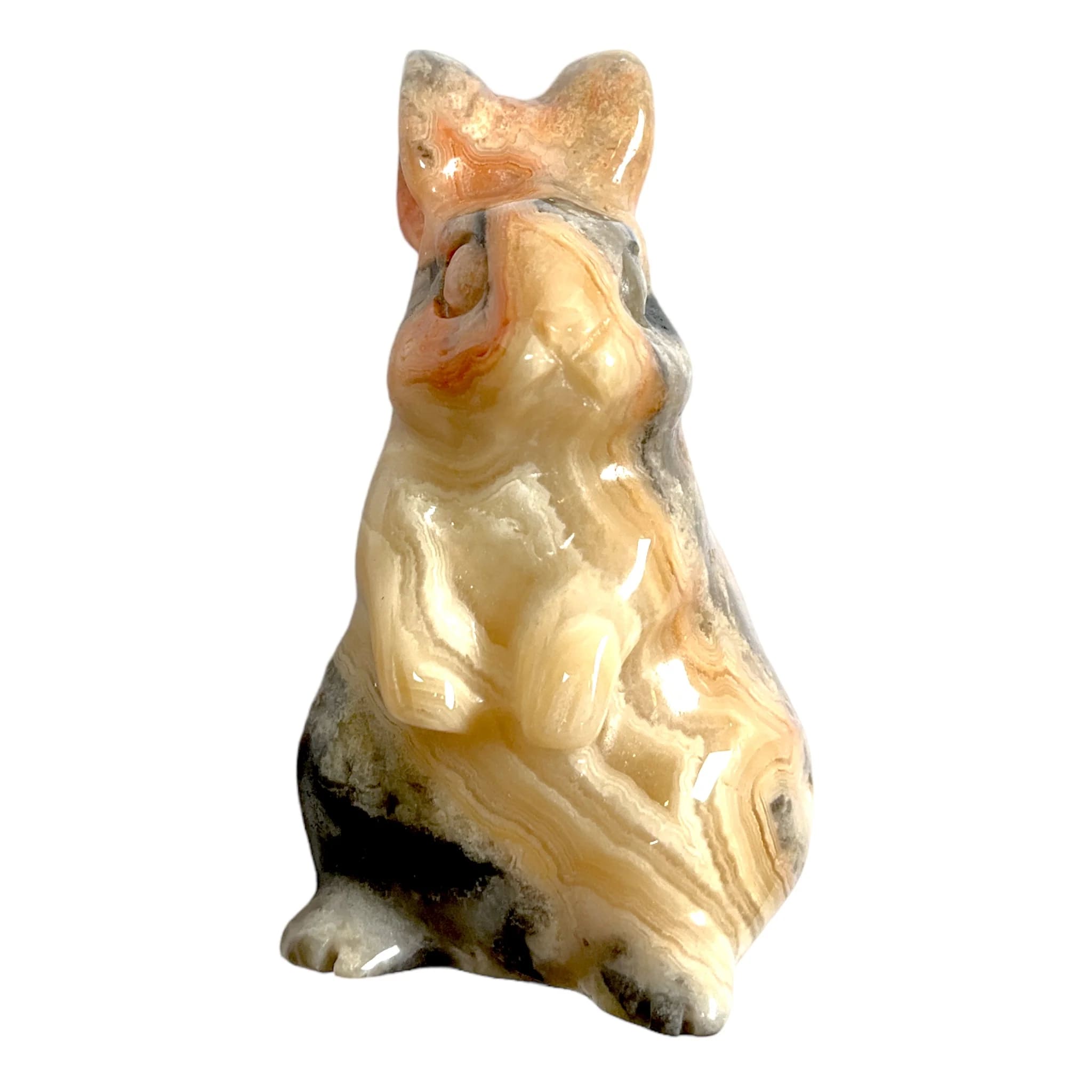 lapin agate crazy11