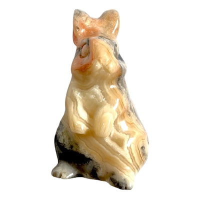 lapin agate crazy11