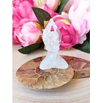 statuette en cristal de roche sur fossile dammonite