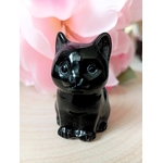 chat tout en obsidienne2