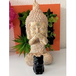 chat obsidienne et décor11