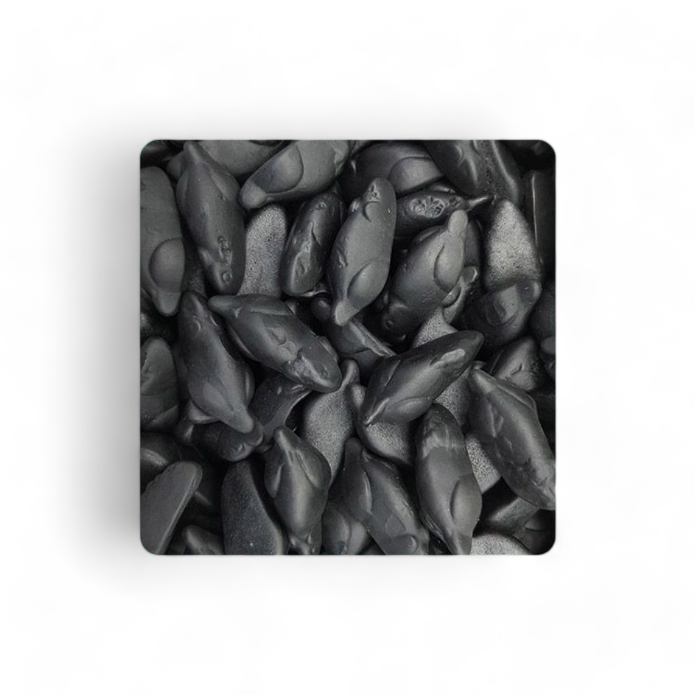 souris-noire-astra