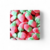 fraises-des-bois-02-1-mini-transformed