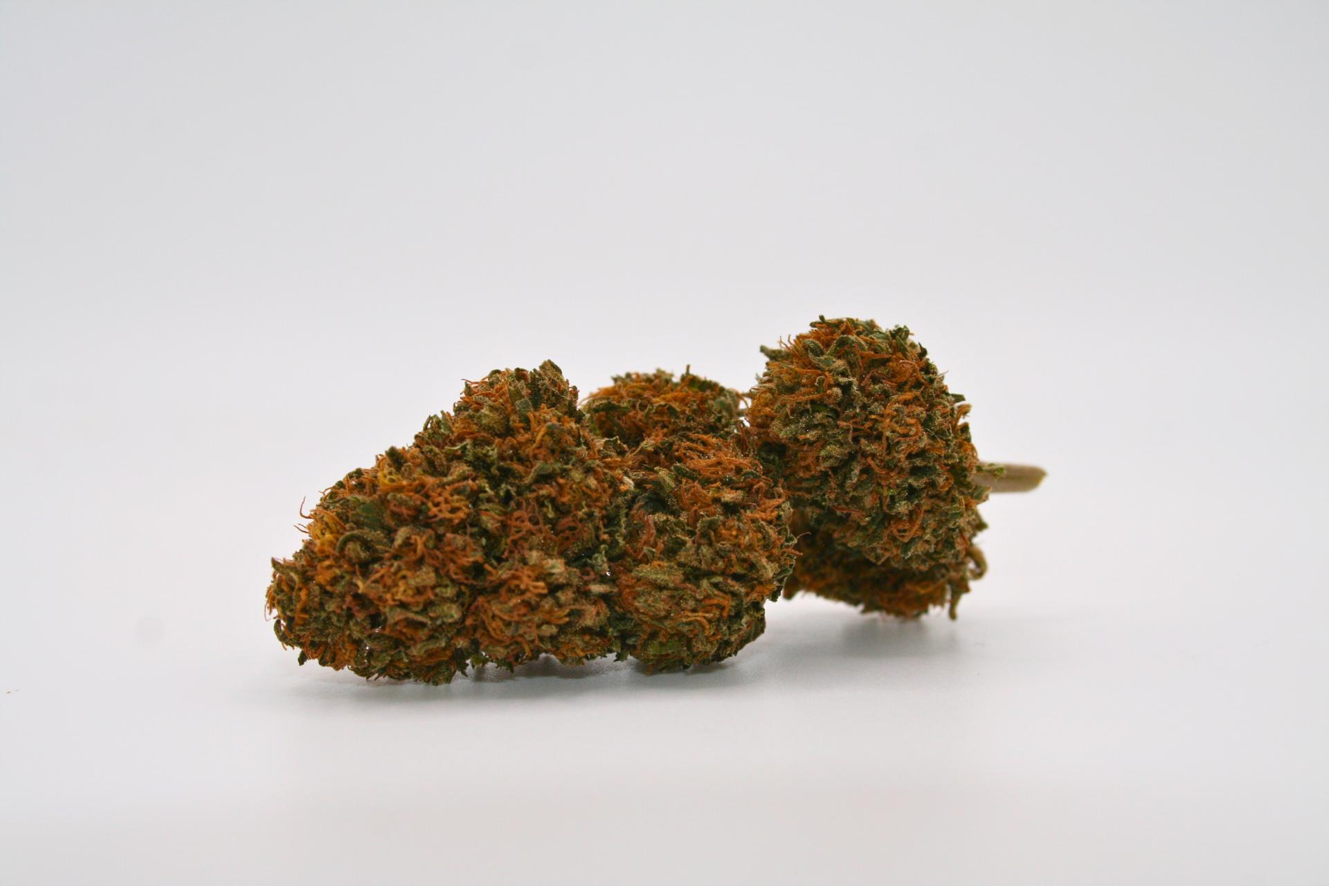 Gelato