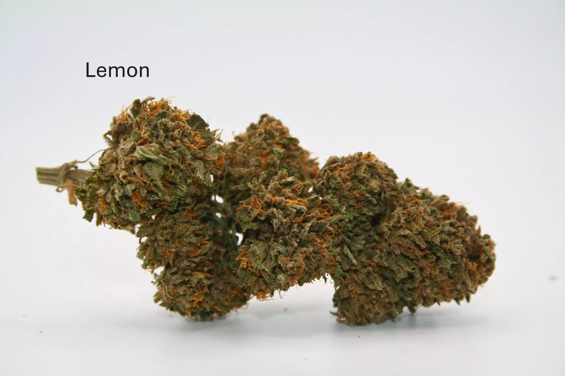 lemon