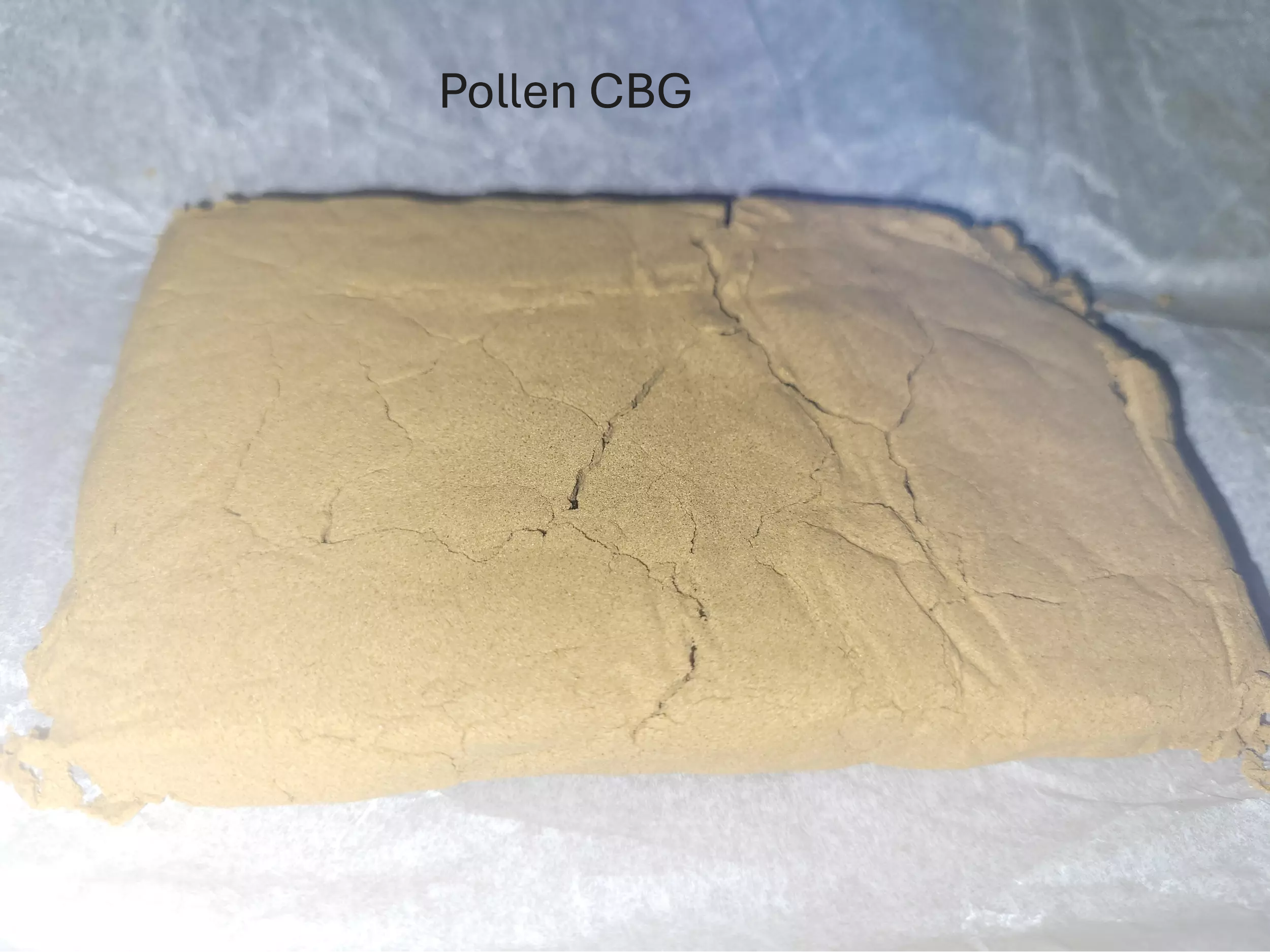 pollen-cbg