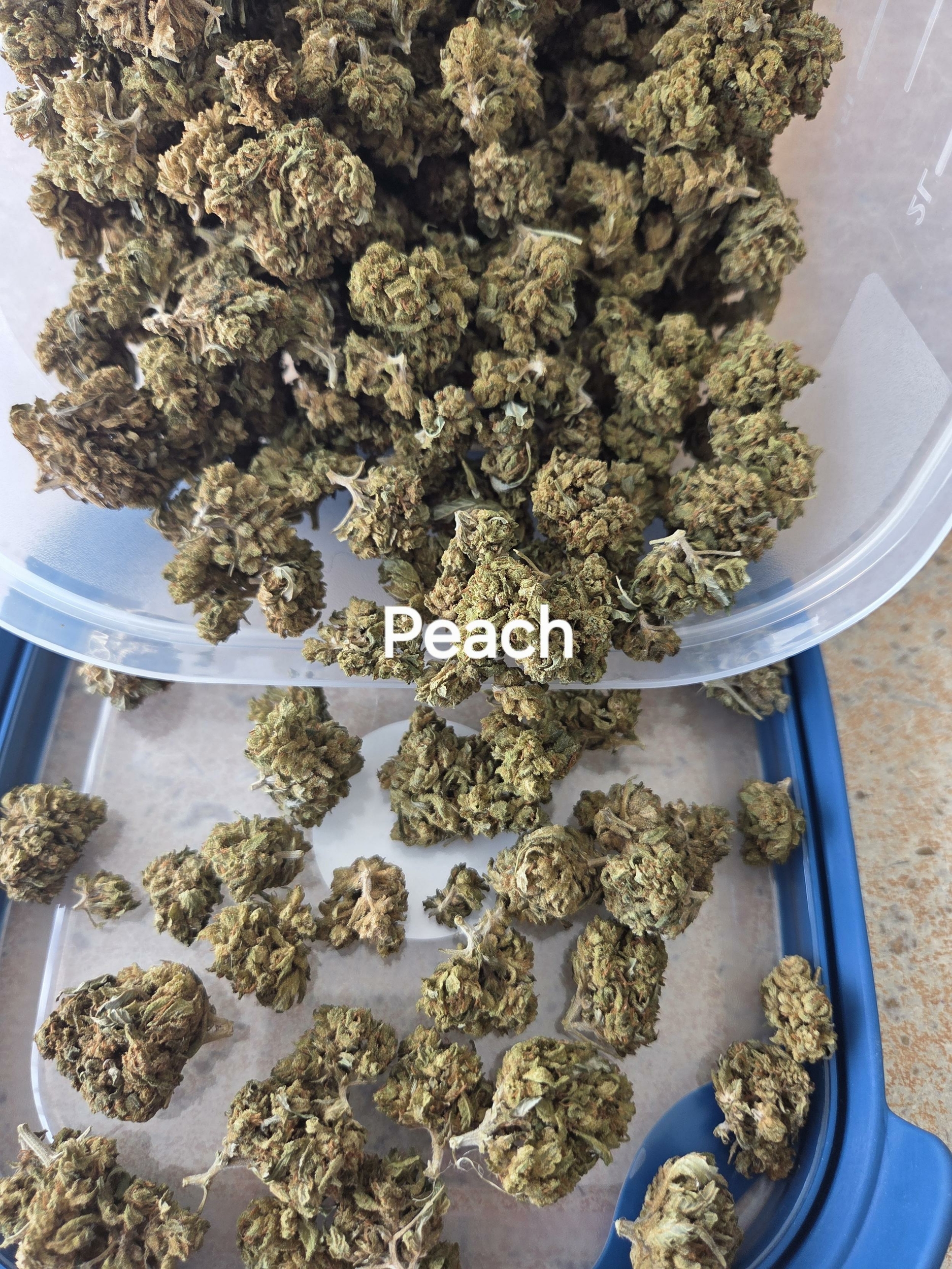 Peach
