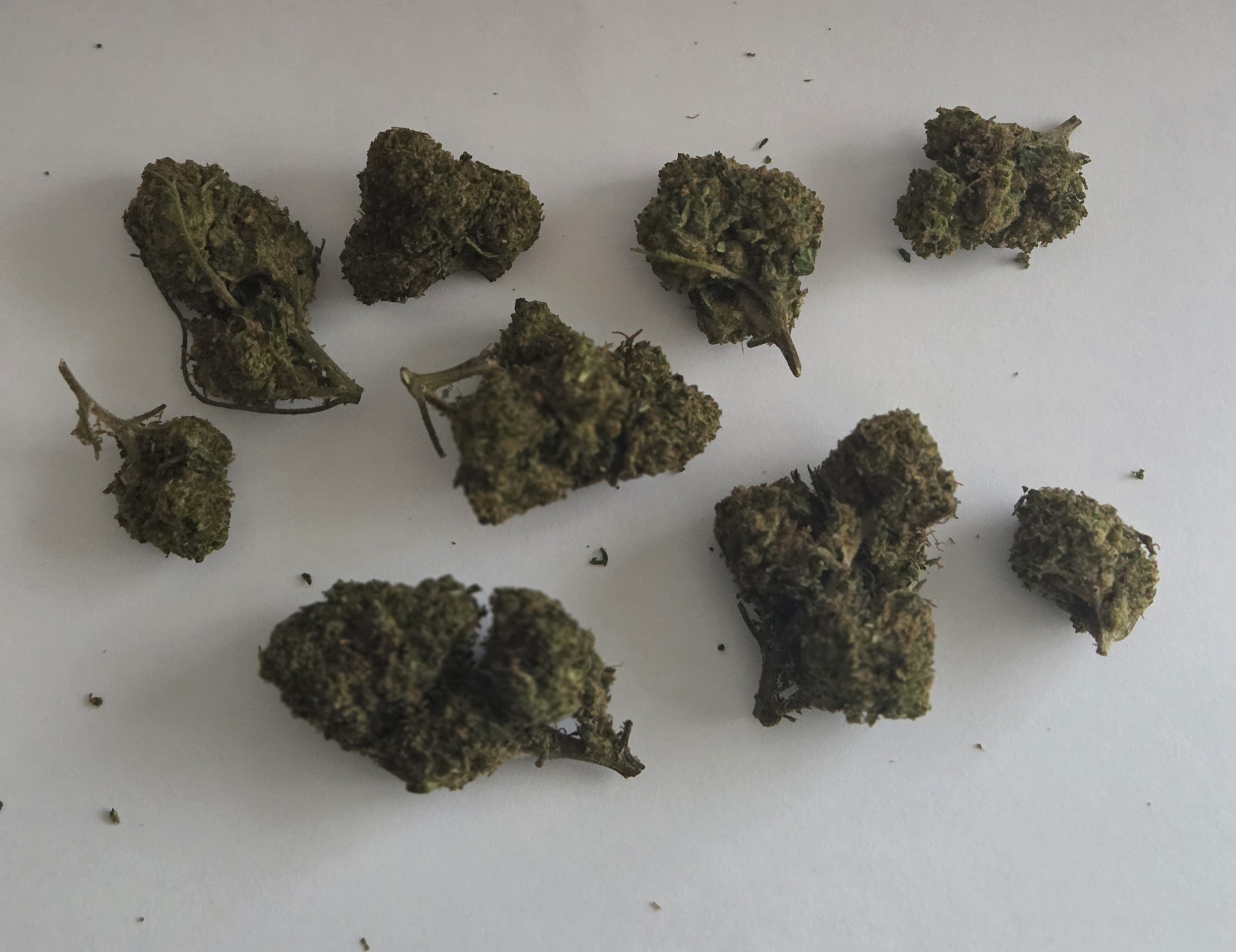 Amnésia 40%