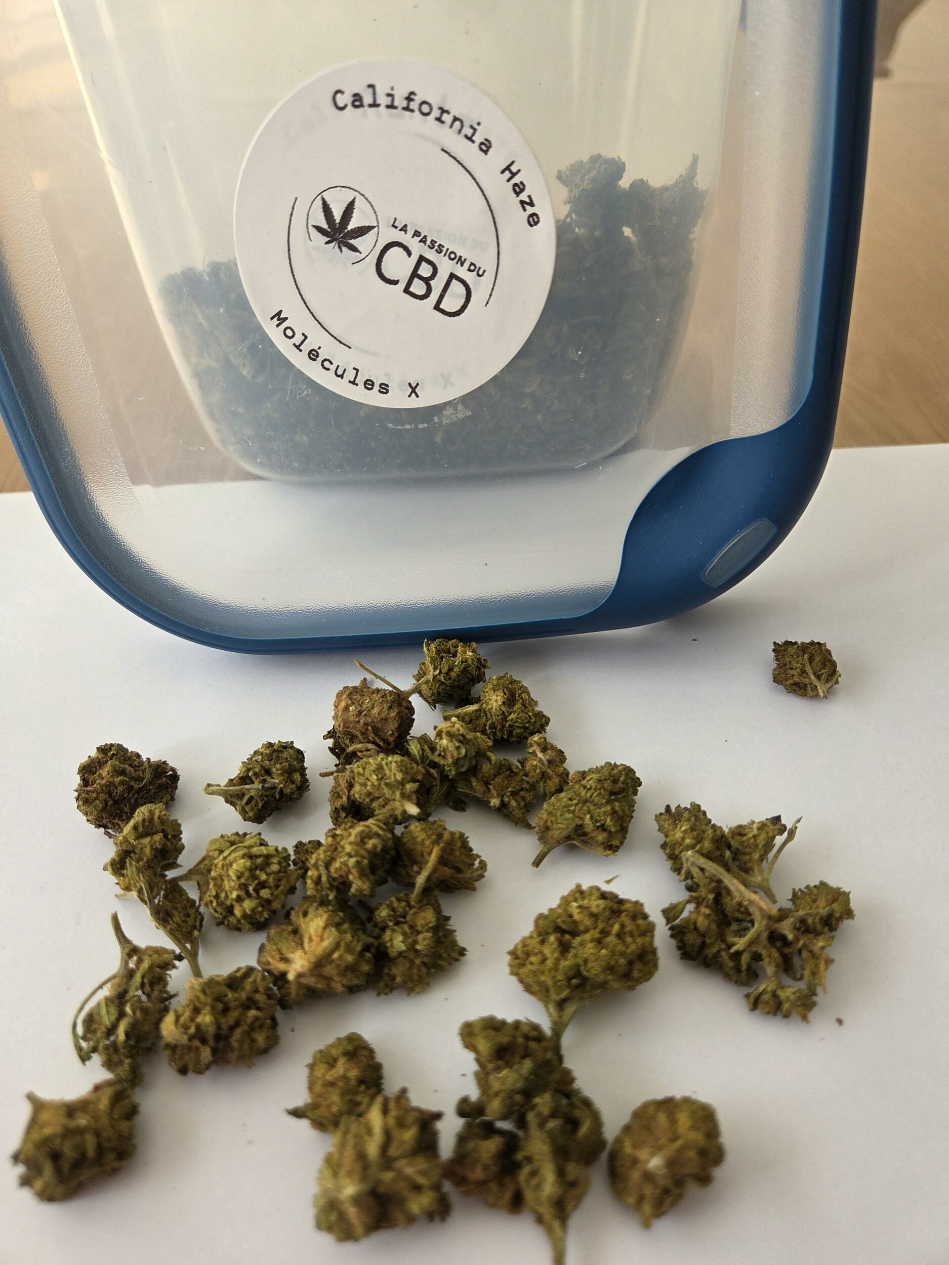 CaliforniaHazeX