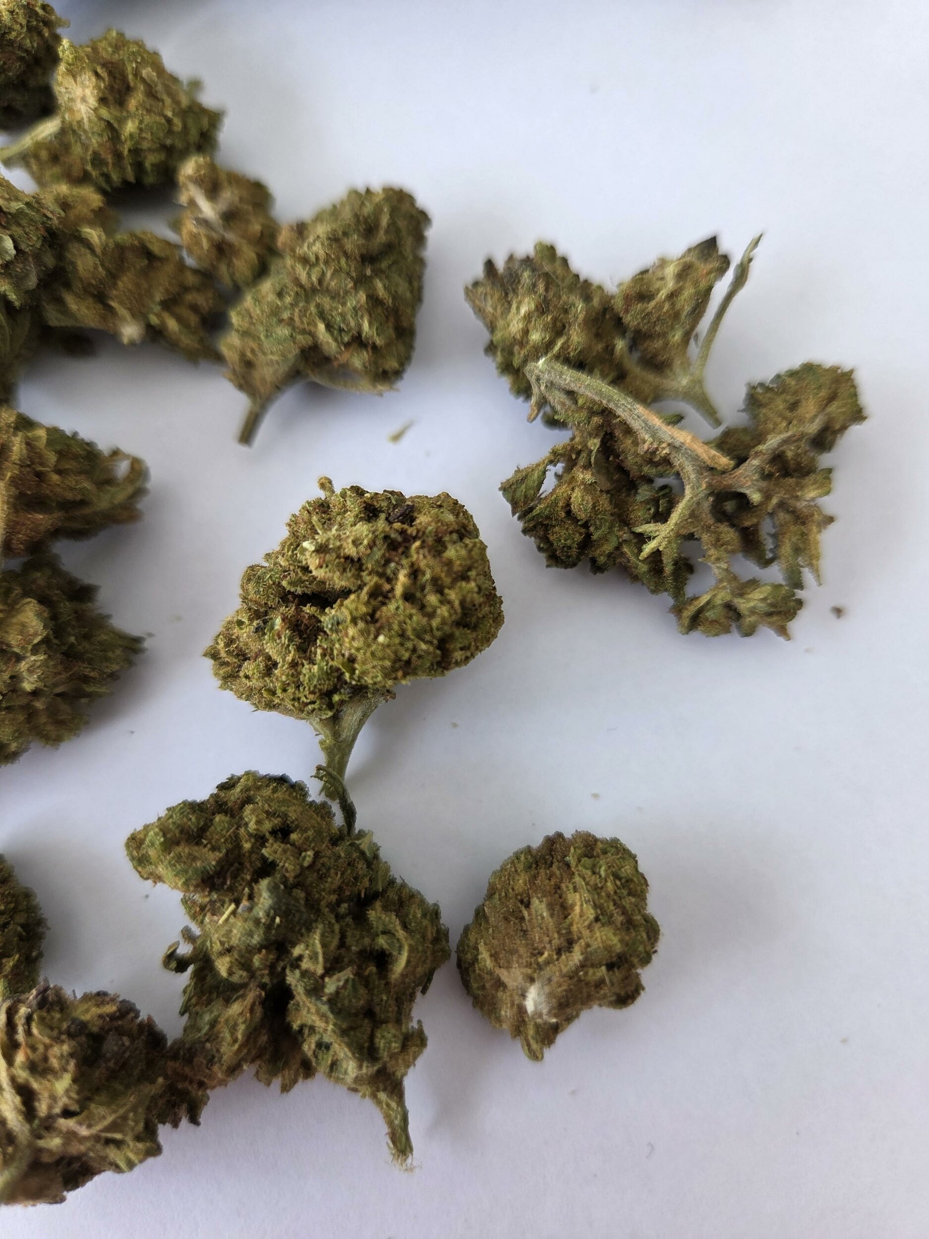 CaliforniaHazeX1