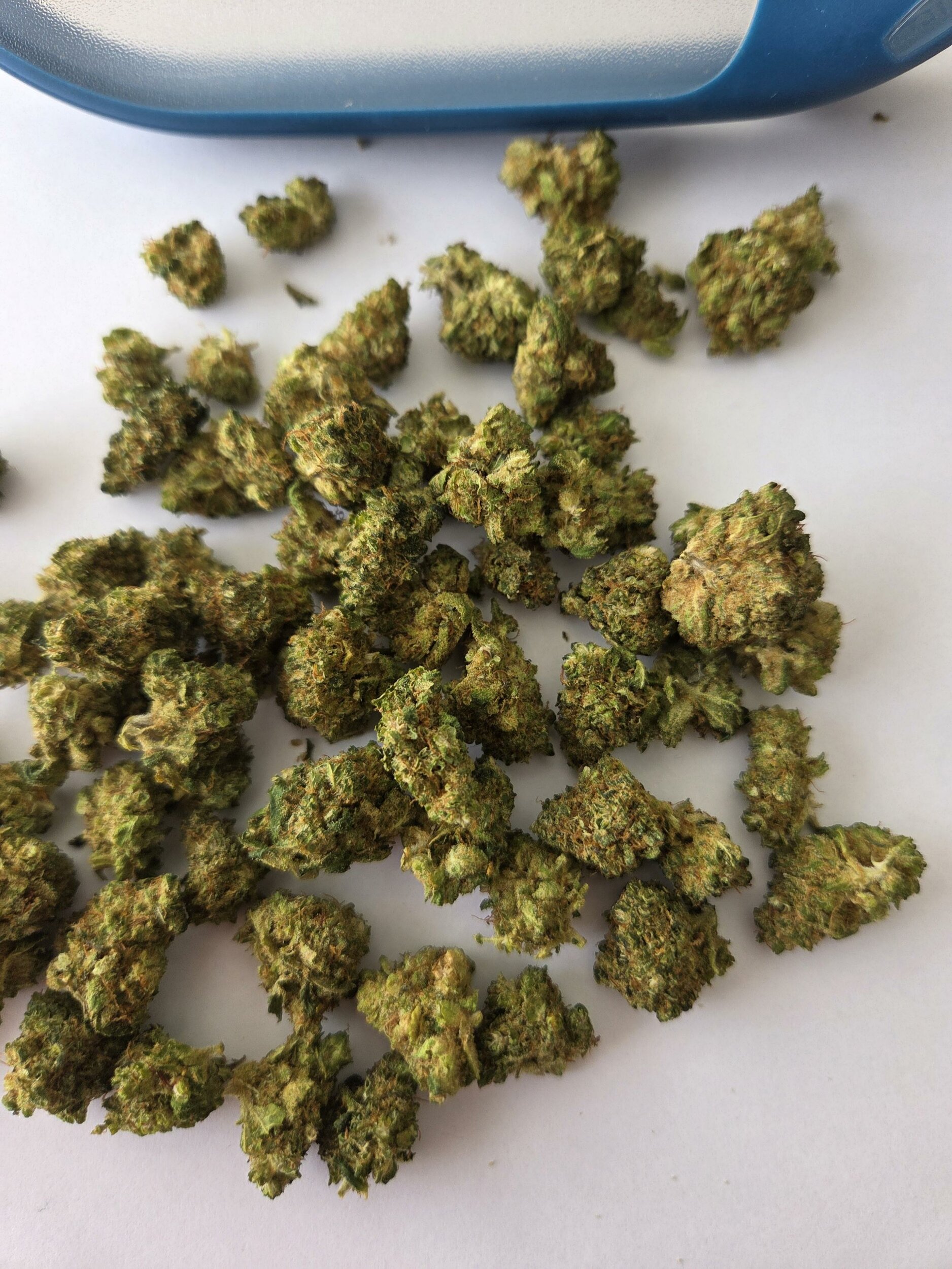 SourDieselX1