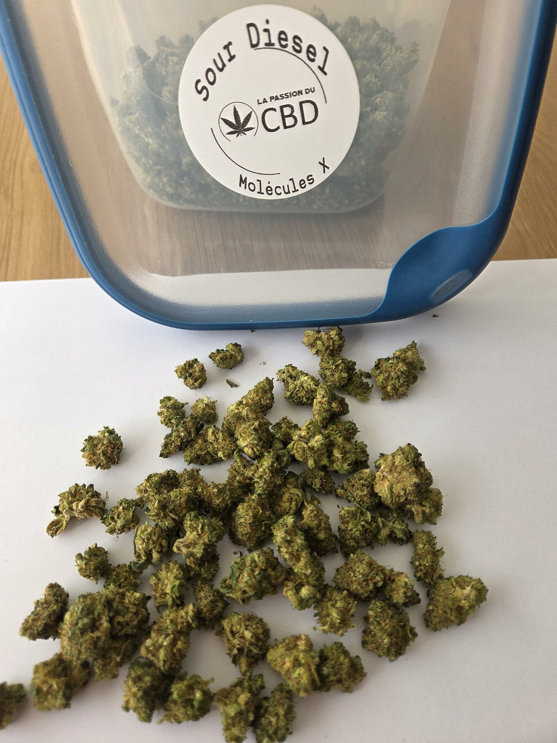 SourDieselX