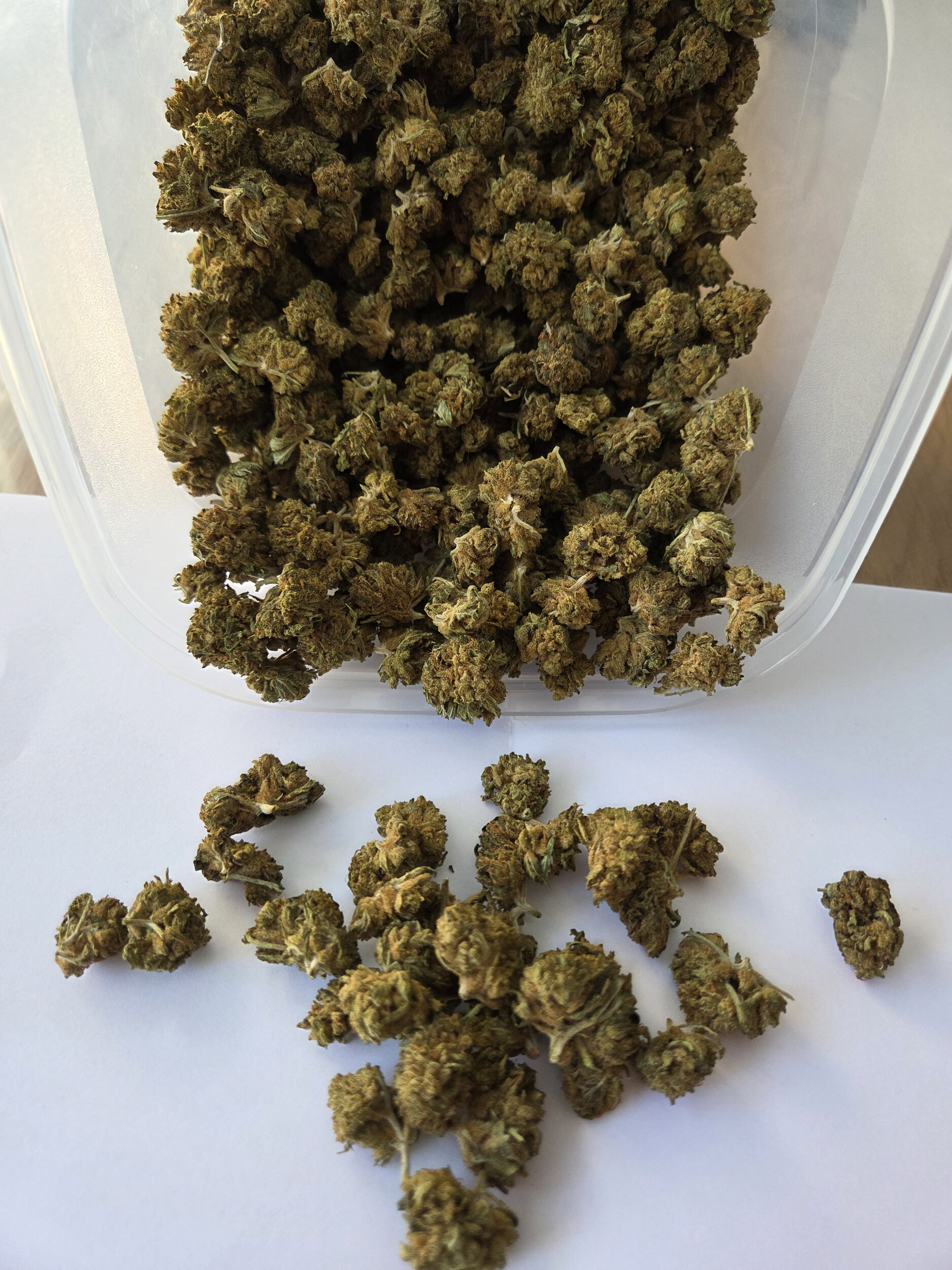White Cali - CBD