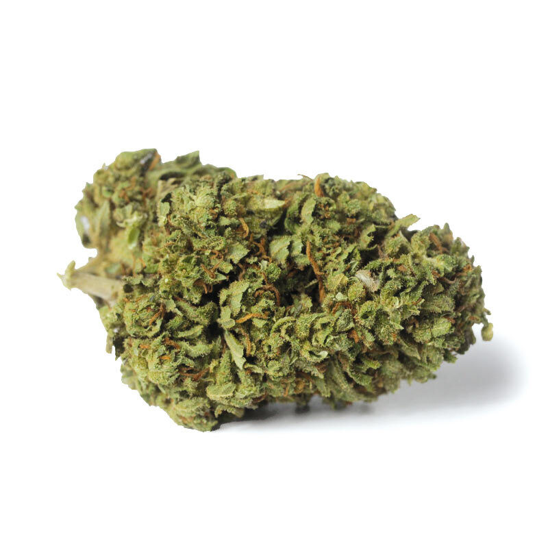 Suprême Widow ( indoor )