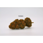 gelato