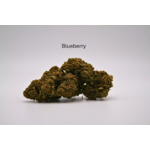 blueberry