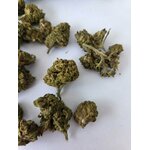 CaliforniaHazeX1