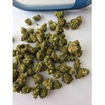 SourDieselX1
