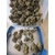 Saphir Kush