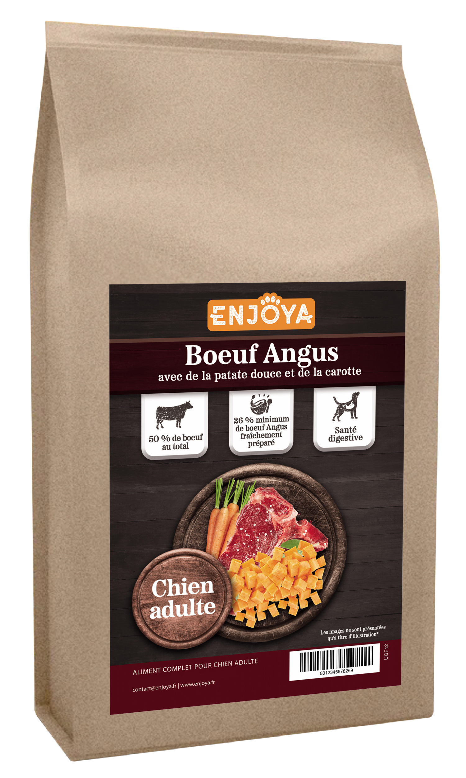 SAC-KRAFT-BOEUF