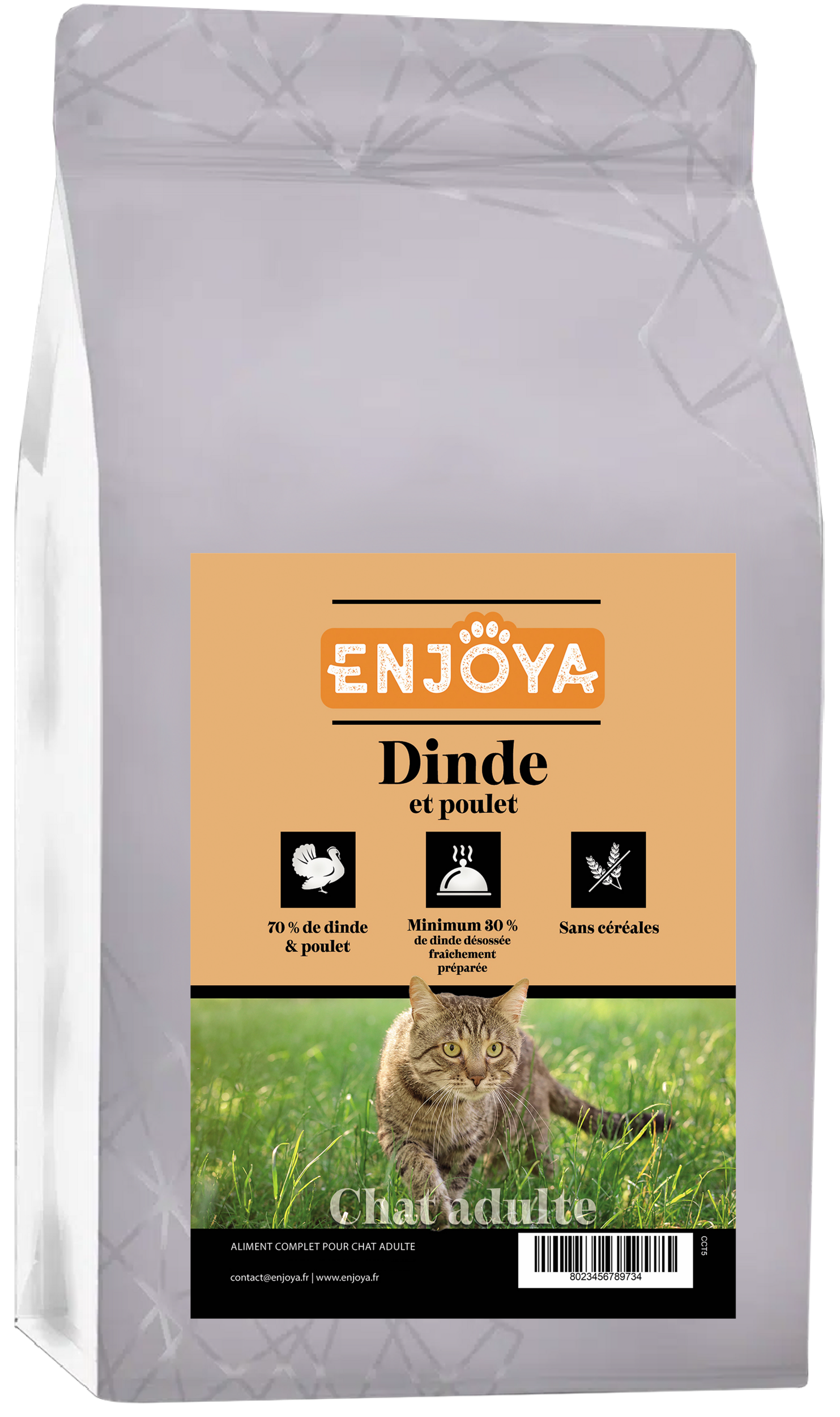 SAC-CHAT-dinde copie