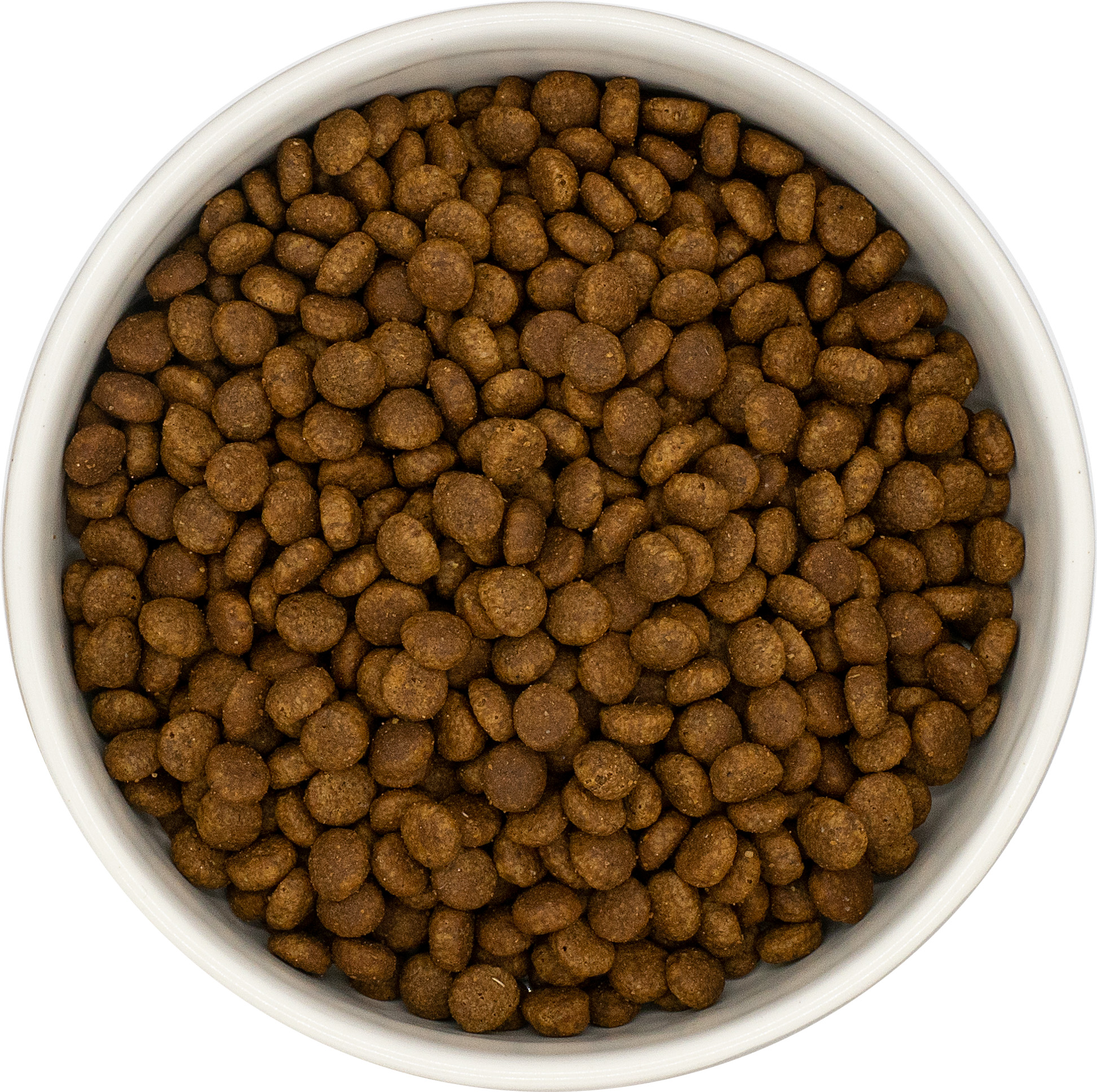 CCK-CHATON