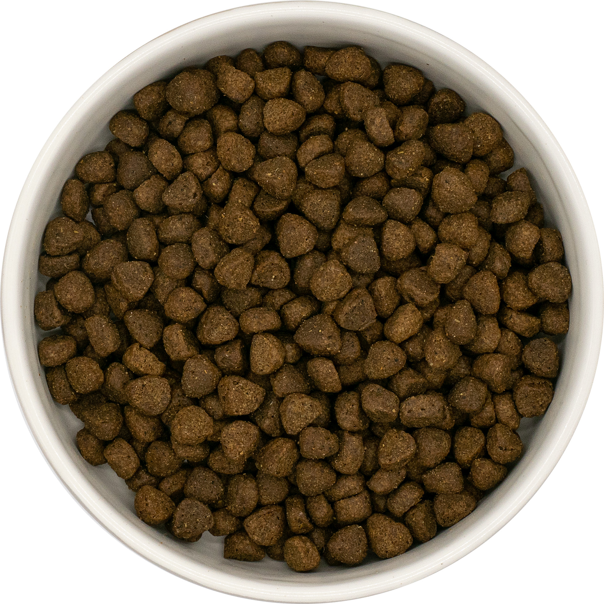 4-SFA-Boeuf-p-r