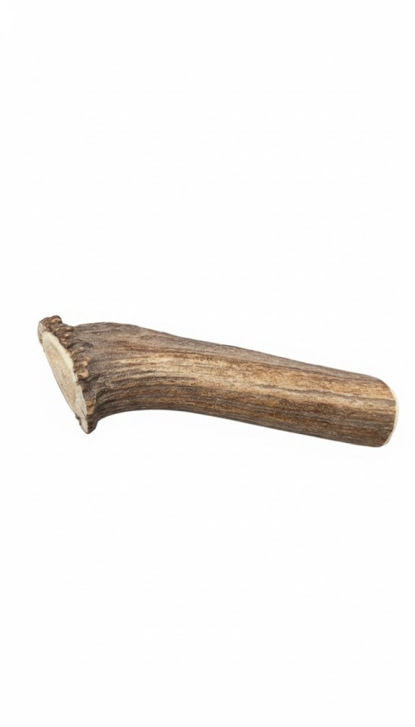 bois cerf