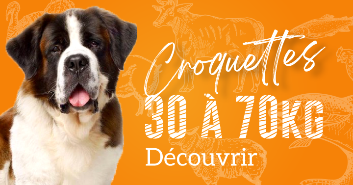 30 à 70kg decouvir